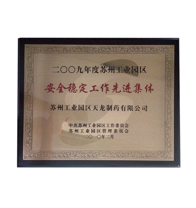 2009年度安全穩(wěn)定工作先進集.jpg